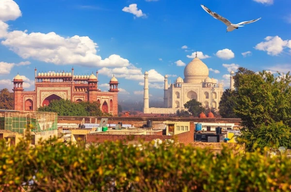Neelam Travels